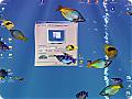 3D Screensaver - Aqua 3D