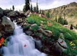 Bewitching Cascades Bildschirmschoner - Kostenlose Bildschirmschoner für Wasserfälle