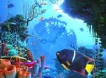 3D Screensaver - Coral Clock 3D