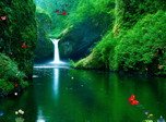 Green Waterfalls Screensaver - Animals Screensavers