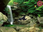 Jungle Falls Bildschirmschoner - Wasserfälle Bildschirmschoner
