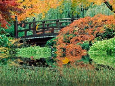 Autumn Scenery software