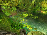 3D Nature Screensaver - Nature 3D