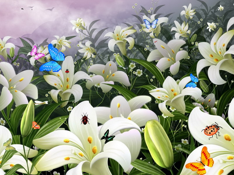 Flowers And Butterflies Flowers Screensaver Fullscreensavers Com